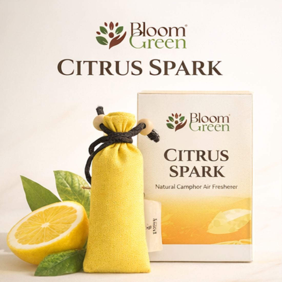 Citrus Camphor Cone 60gm – Natural Camphor Air Freshener Cones with Refreshing Citrus Aroma | Long Lasting Home & Prayer Room Freshener by Bloom Green