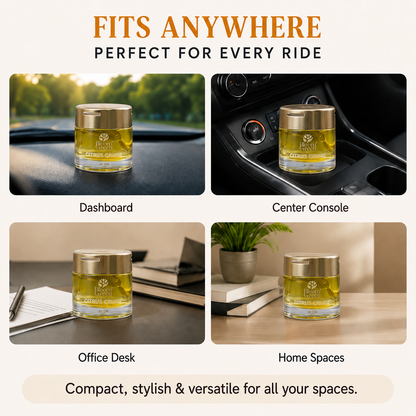 Citrus Cruise Car Gel Freshener 40gm – Natural Citrus Car Perfume Gel | Long Lasting Plant-Based Dashboard Air Freshener by Bloom Green