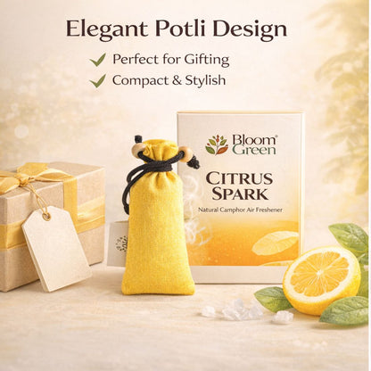Citrus Camphor Cone 60gm – Natural Camphor Air Freshener Cones with Refreshing Citrus Aroma | Long Lasting Home & Prayer Room Freshener by Bloom Green