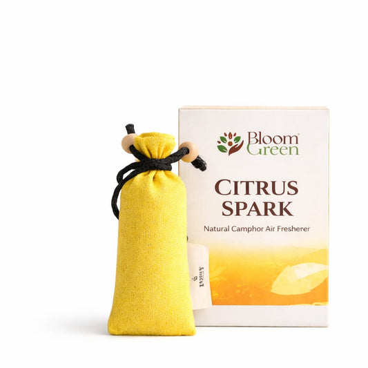 Citrus Camphor Cone 60gm – Natural Camphor Air Freshener Cones with Refreshing Citrus Aroma | Long Lasting Home & Prayer Room Freshener by Bloom Green