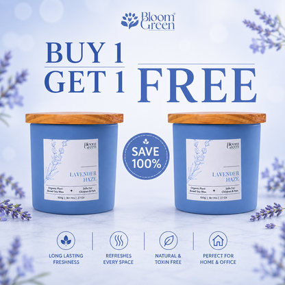 Buy Lavender Haze Soy Wax Candle 100g & Get 1 Free | Bloom Green Buy 1 Get 1 Offer