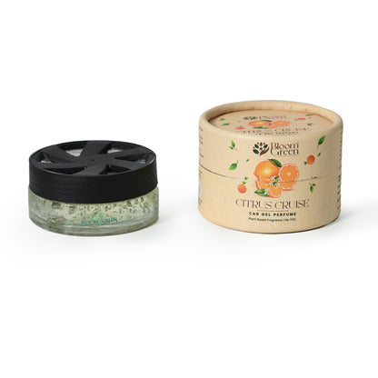 Gift Pack of 3 Freshner by Bloom Green