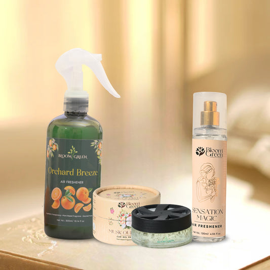 Gift Pack of 3 Freshner by Bloom Green