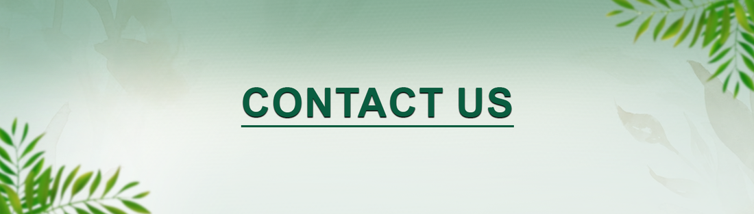 Contact Us | Bloom Green – We're Here to Help